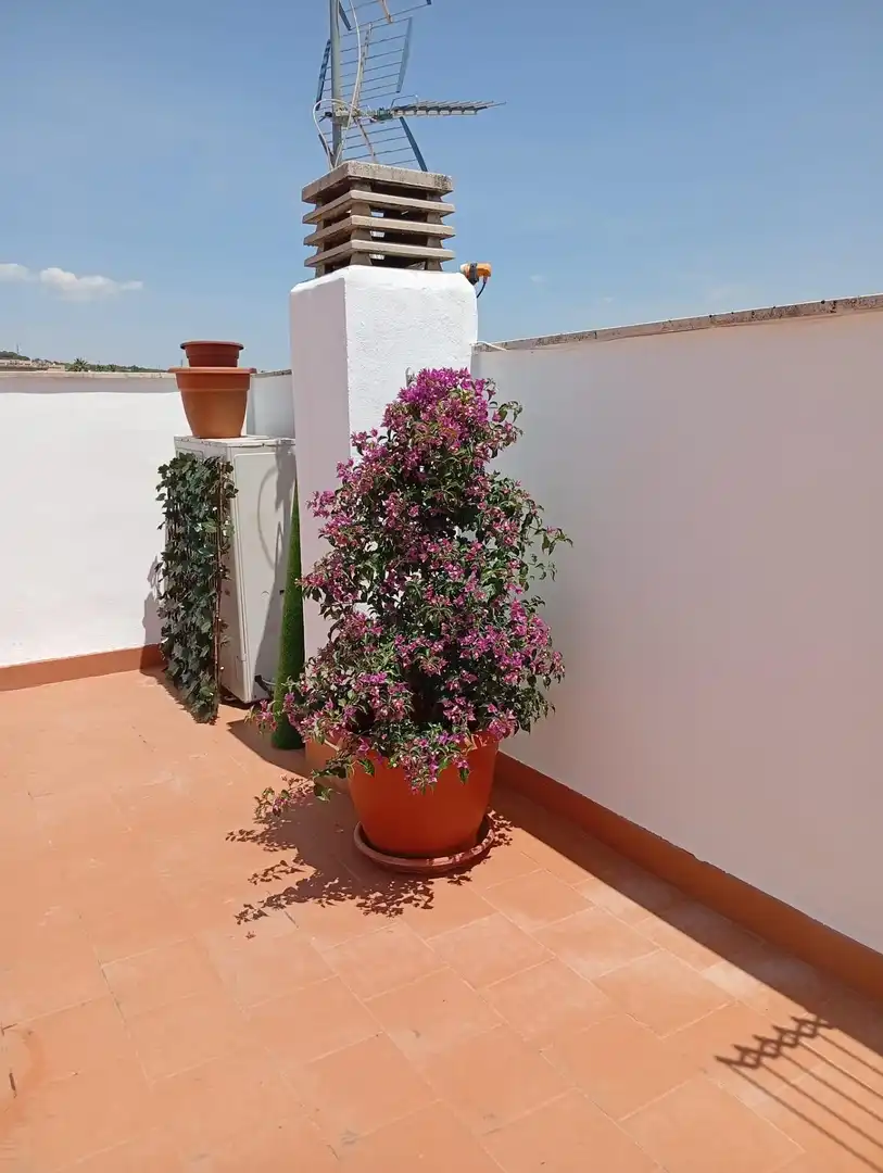 Haus zum Verkauf in Almodóvar del Río, imagen 34