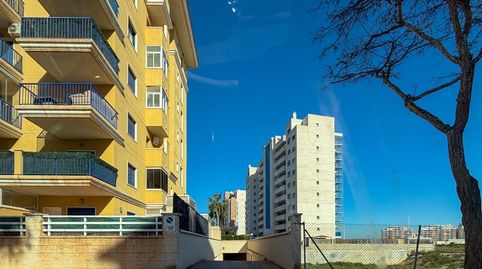 Photo 2 of Garage for sale in Del Puerto, Puerto Deportivo, Guardamar del Segura