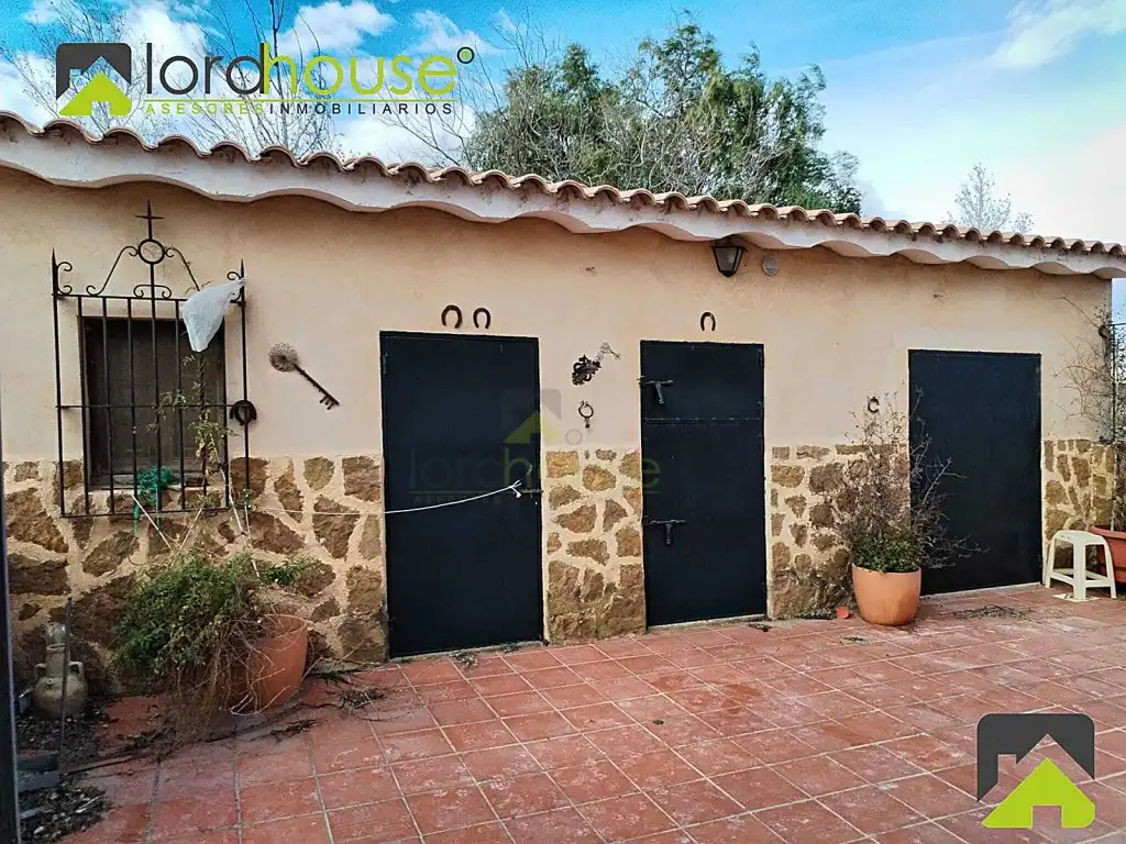 Vista exterior de Casa o xalet en venda en Lorca