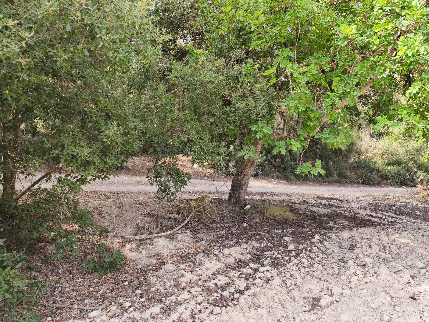 Terreno rustico in vendita a Sant Joan, imagen 12