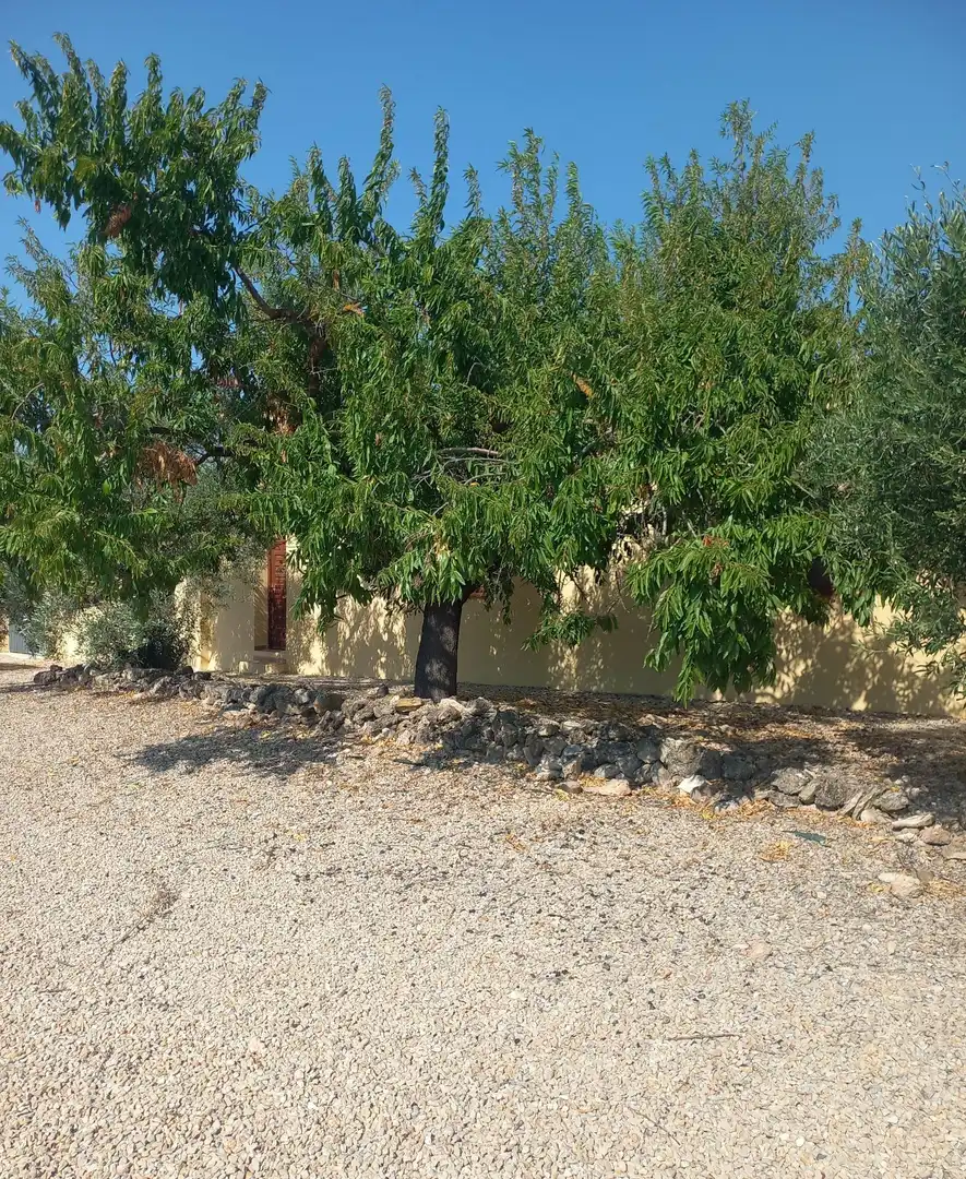 Vista exterior de Finca rústica en venta en Rasquera