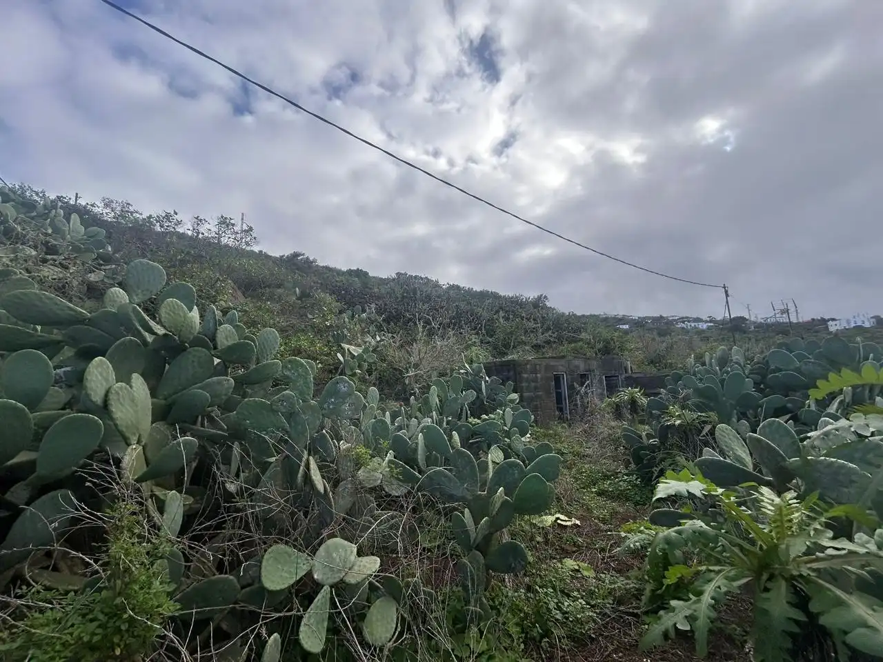 Finca rústica en venda en Valverde (Santa Cruz de Tenerife)