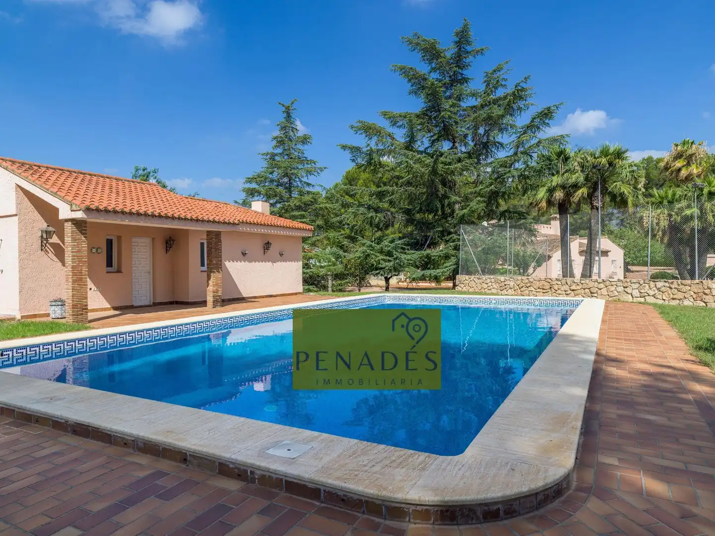 Chalet con piscina en venta en Santa Ana, imagen 50