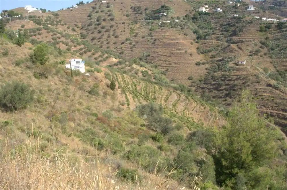 Rustikales Grundstück zum Verkauf in Torrox Pueblo, imagen 6