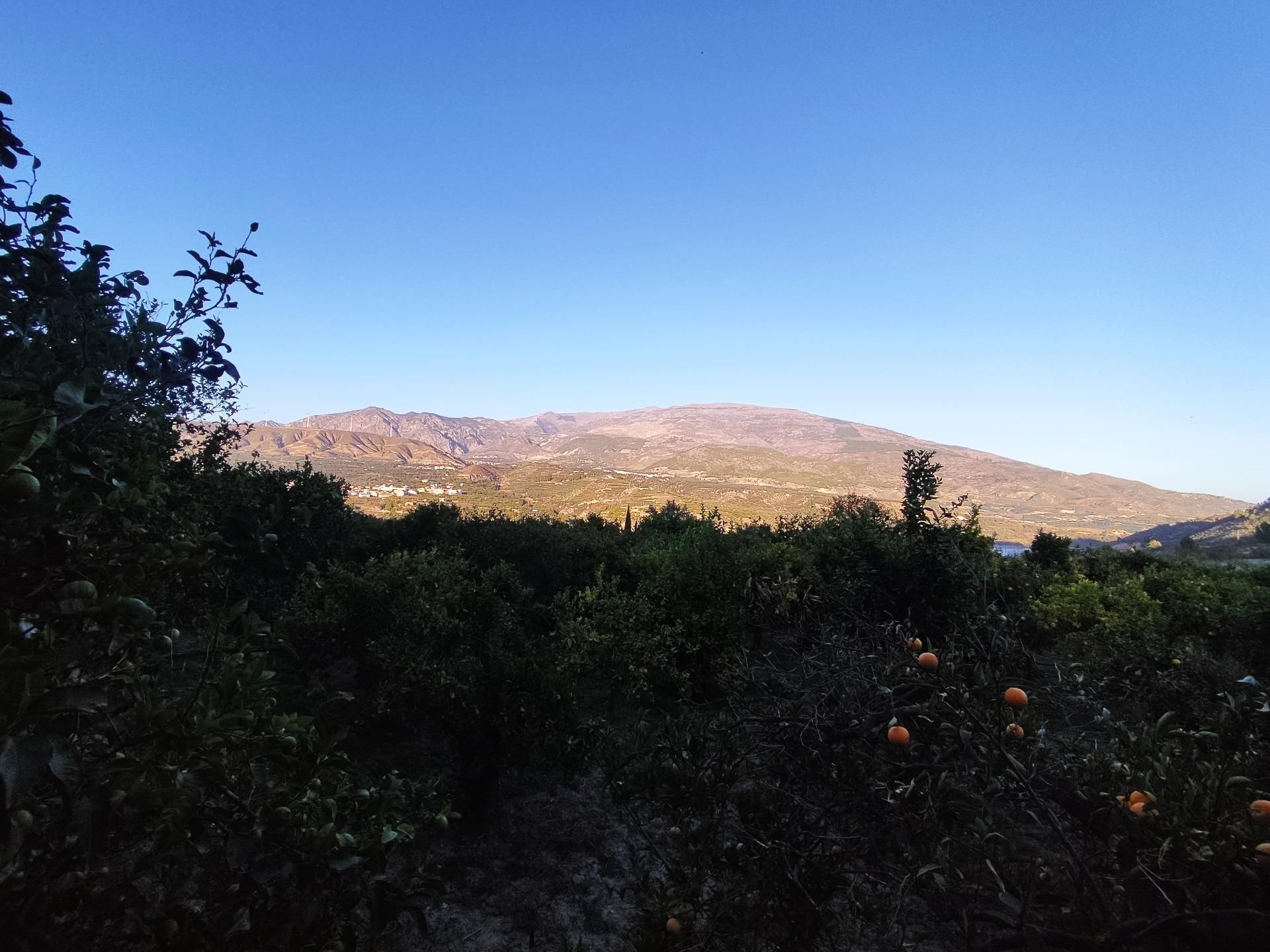 Exterior view of Land for sale in El Valle