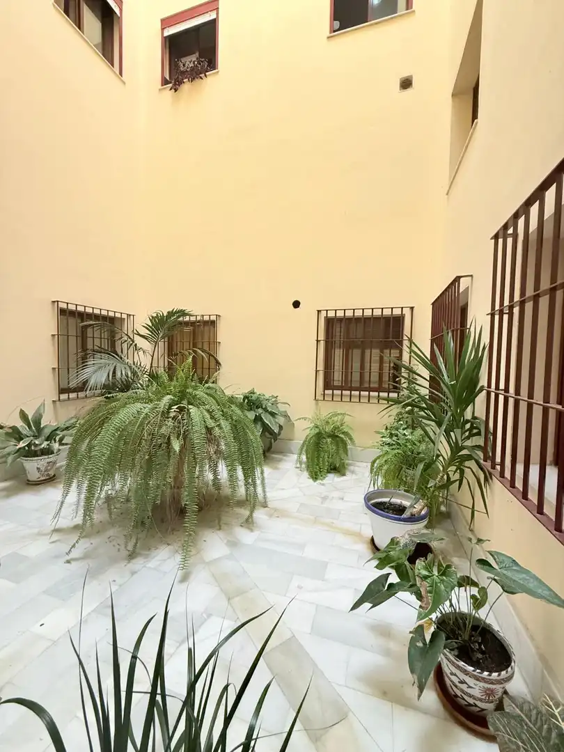 Jardí de Pis en venda en Jerez de la Frontera amb Aire condicionat, Moblat i Balcó
