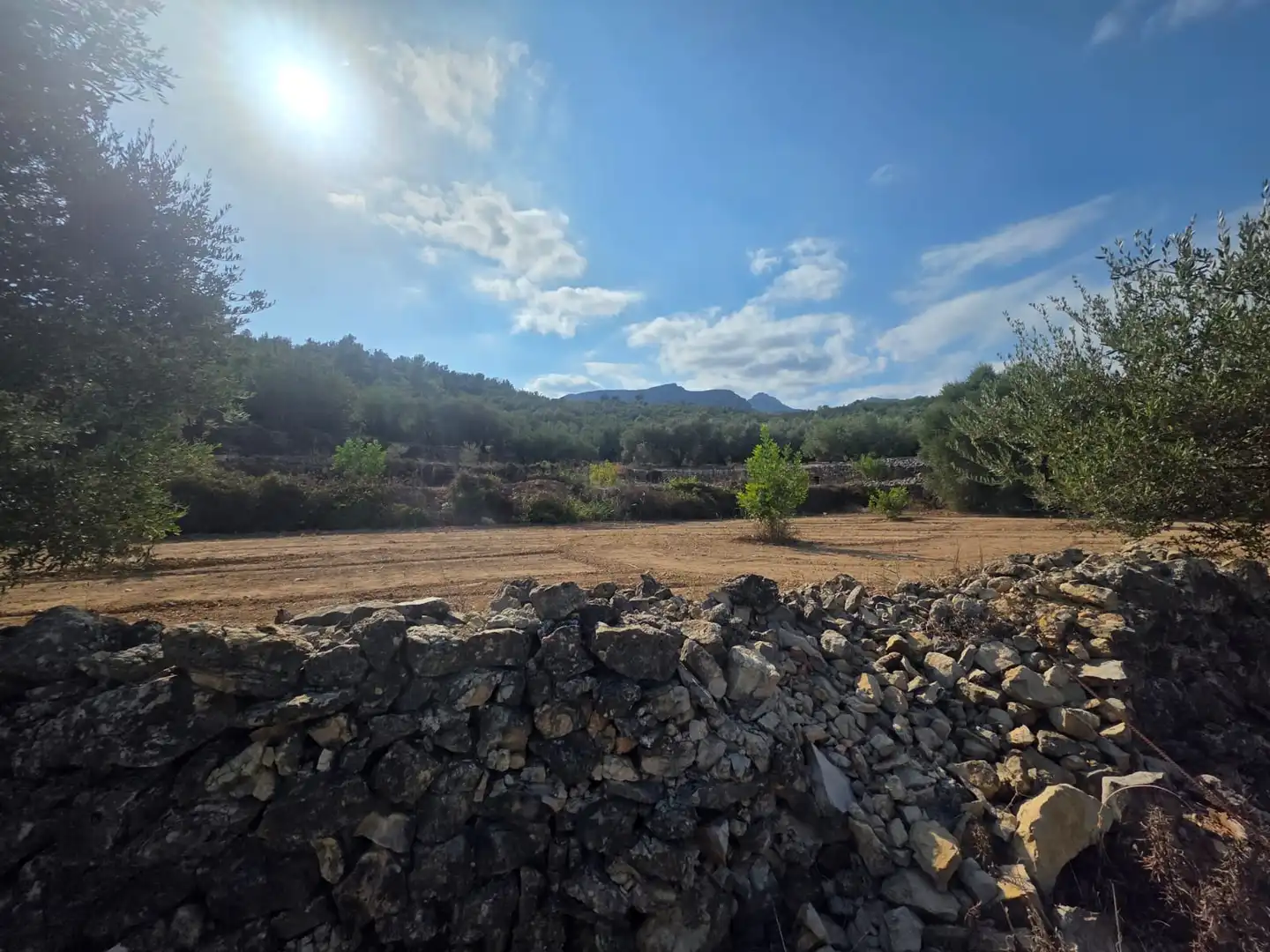 Terreno rústico en venta en Mas de Barberans, imagen 5