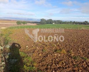 Land for sale in San Torcuato