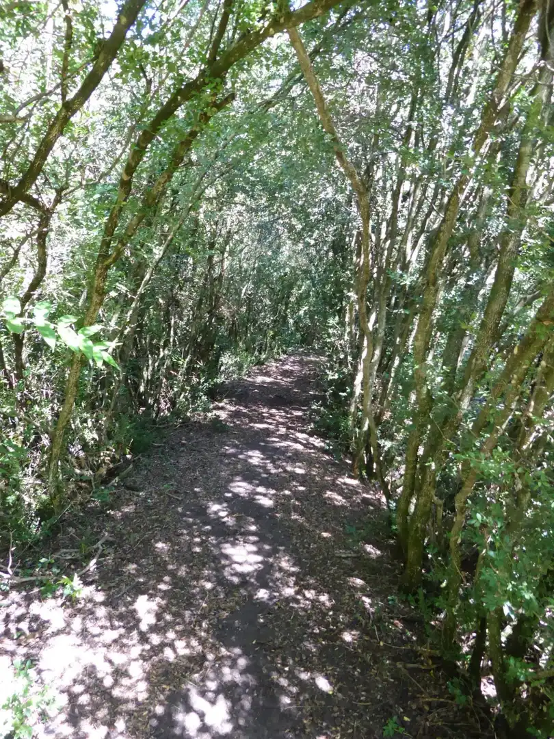 Vista exterior de Finca rústica en venta en Sant Martí de Tous con Aire acondicionado, Calefacción y Jardín privado