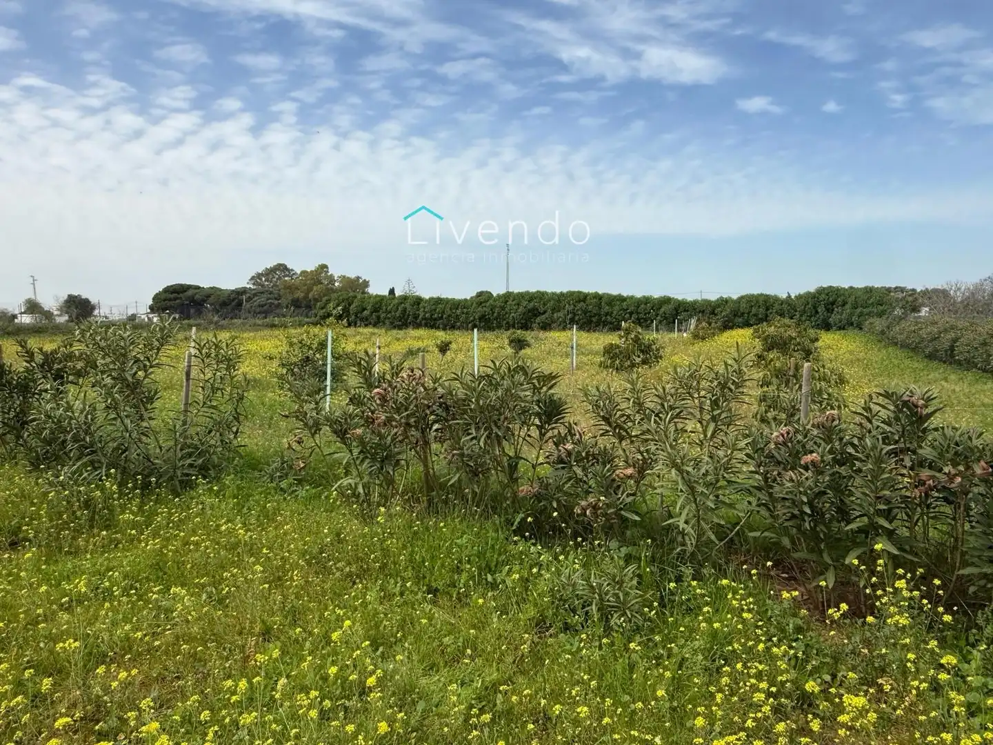 Terreny en venda en Conil de la Frontera