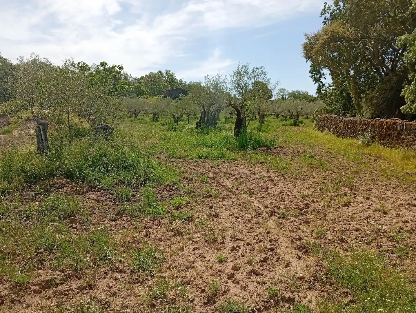 Terreni e lotti in vendita a Villanueva de la Vera, imagen 40