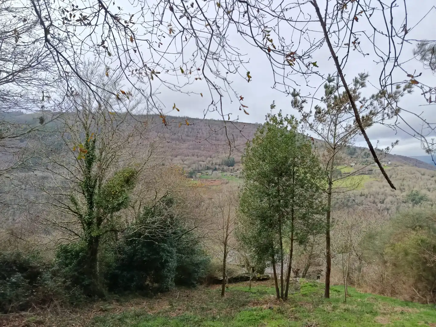 Finca rústica en venda en A Pontenova   amb Jardí privat, Terrassa i Balcó