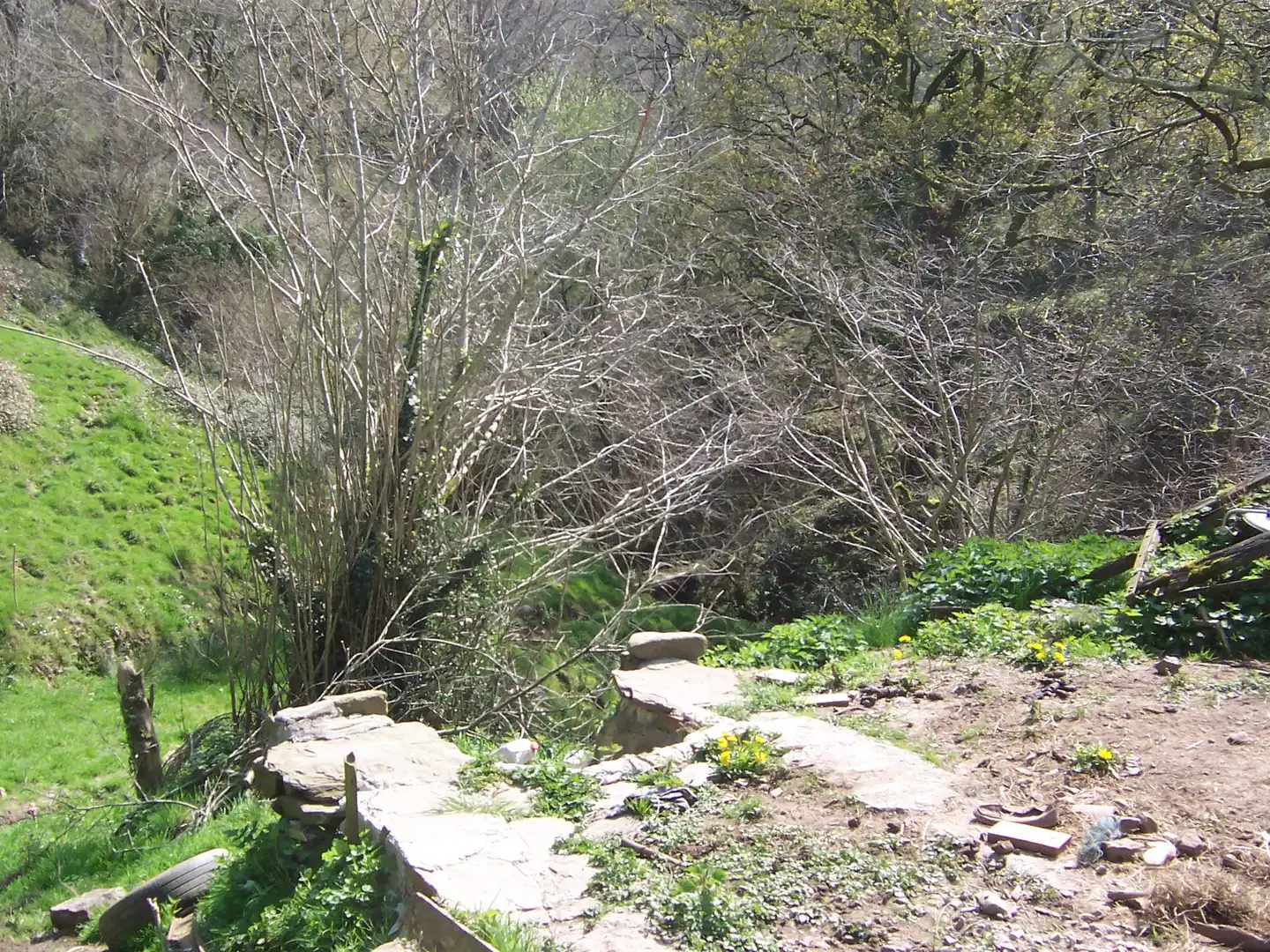 Jardín de Casa o chalet en venta en Saro
