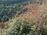 Land for sale in Aisa