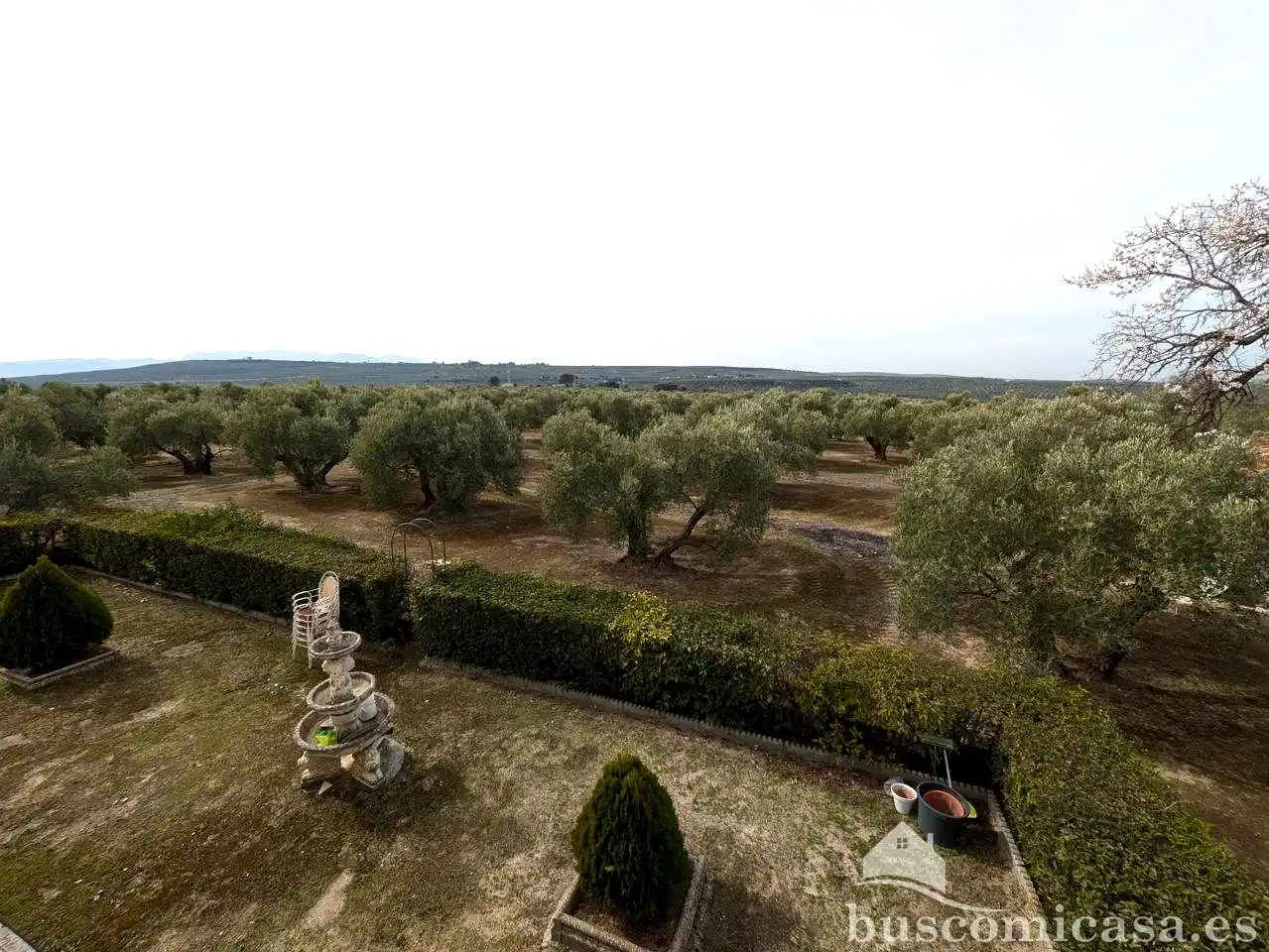 Jardí de Finca rústica en venda en Baeza amb Jardí privat, Terrassa i Traster