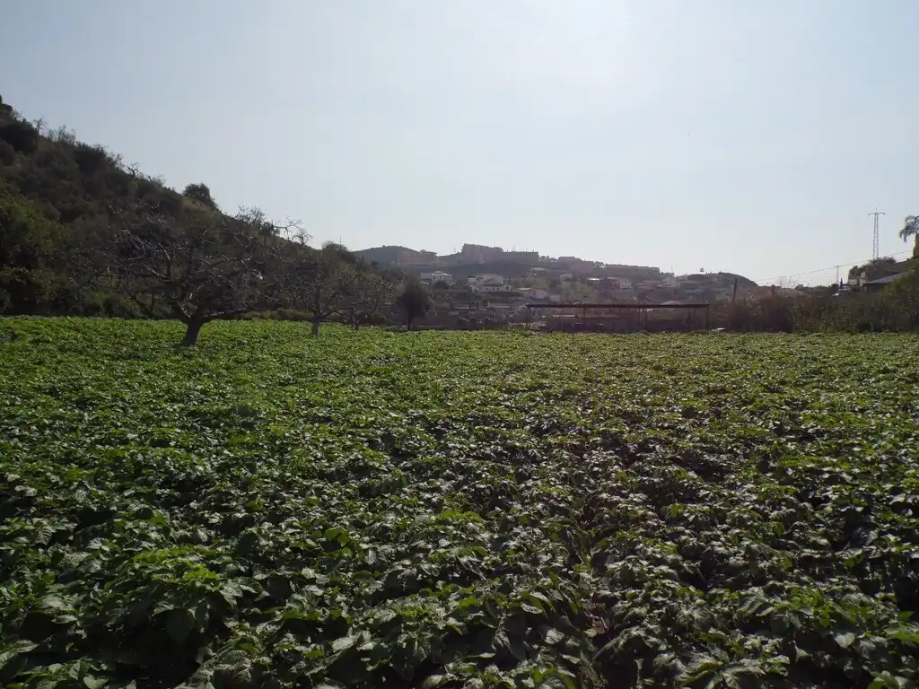 Casa rústica amb jardí en venda a Diseminados, imagen 5