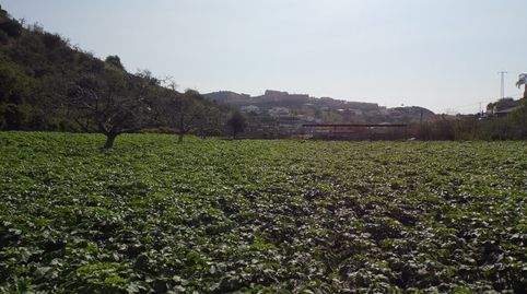 Foto 5 de Finca rústica en venta en Diseminados, Rincón de la Victoria