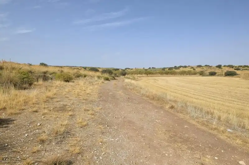 Terreni e lotti in vendita a Padul, imagen 31