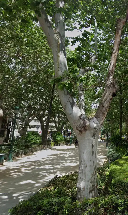 Wohnung mit Aufzug zum Verkauf in L'Eixample, imagen 43