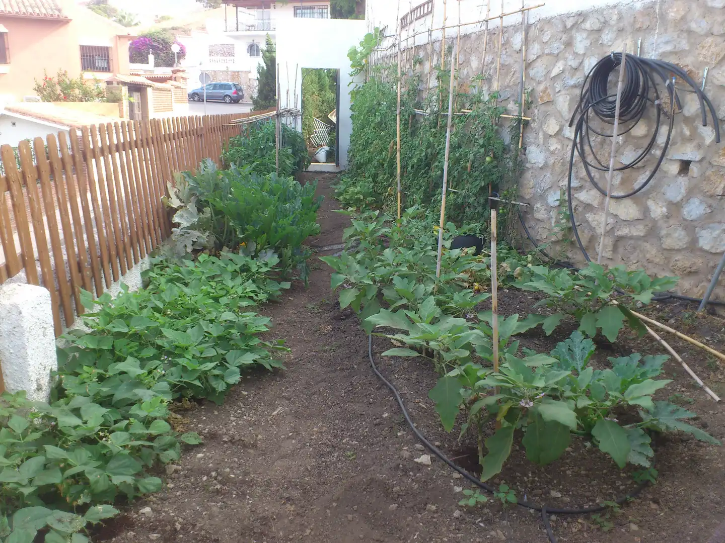 Garden of Houses for sale in Fuengirola  with Air Conditioner, Private garden and Swimming Pool