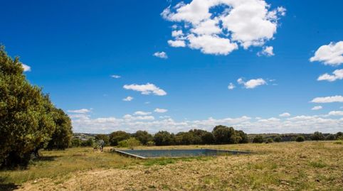 Foto 4 de Finca rústica en venda a La Dehesa - El Pinar, Navalcarnero