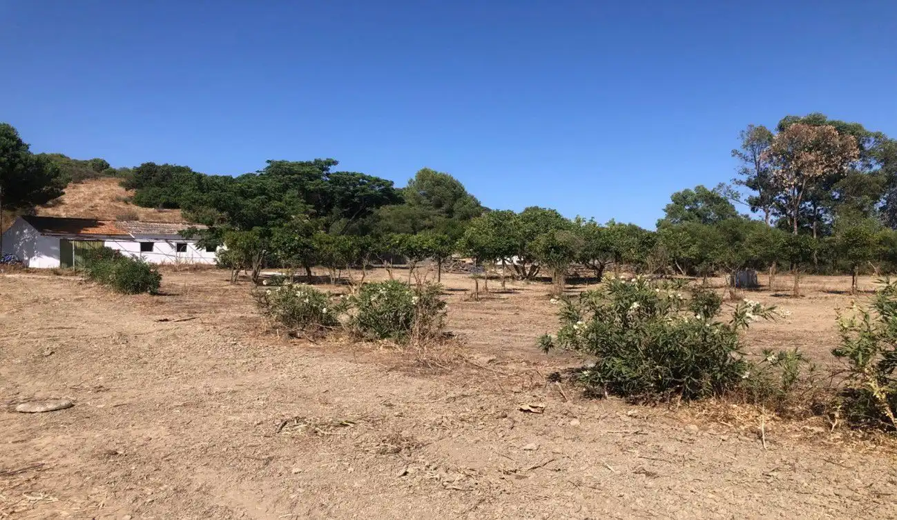 Maison rustique à vendre à San Martín del Tesorillo, imagen 29