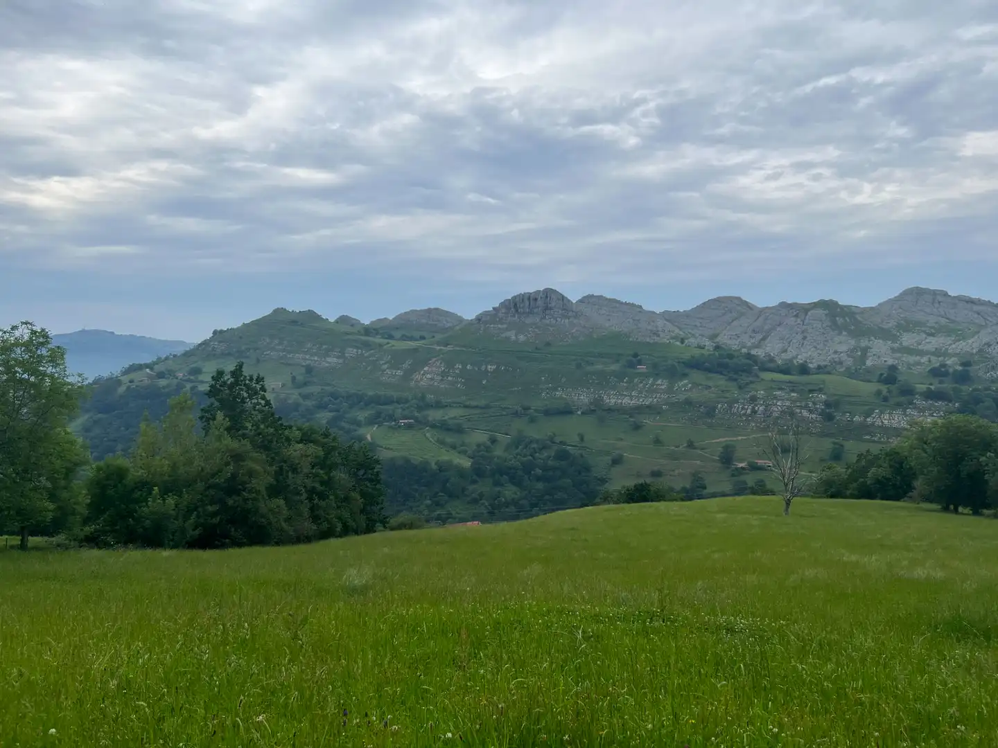 Finca rústica en venta en Liérganes