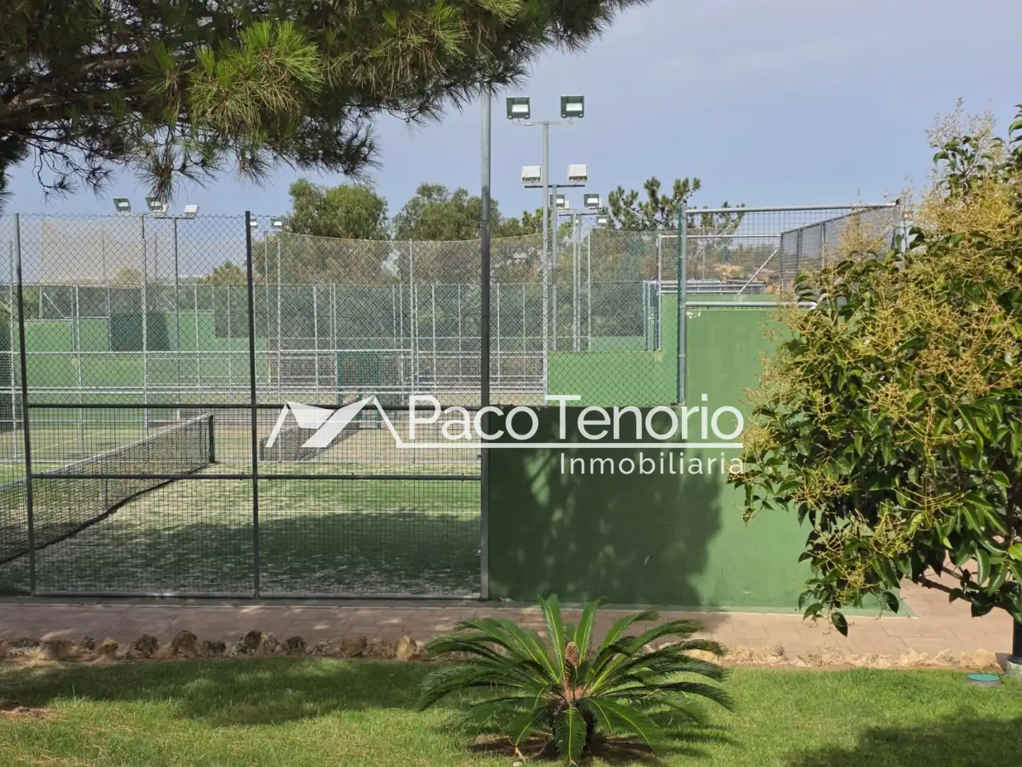 Pis amb piscina en venda a Avenida del Deporte 4, imagen 2