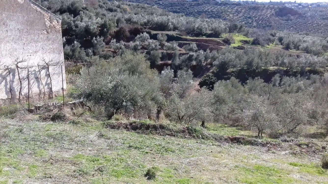 Terreni e lotti in vendita a Cogollos de la Vega, imagen 4