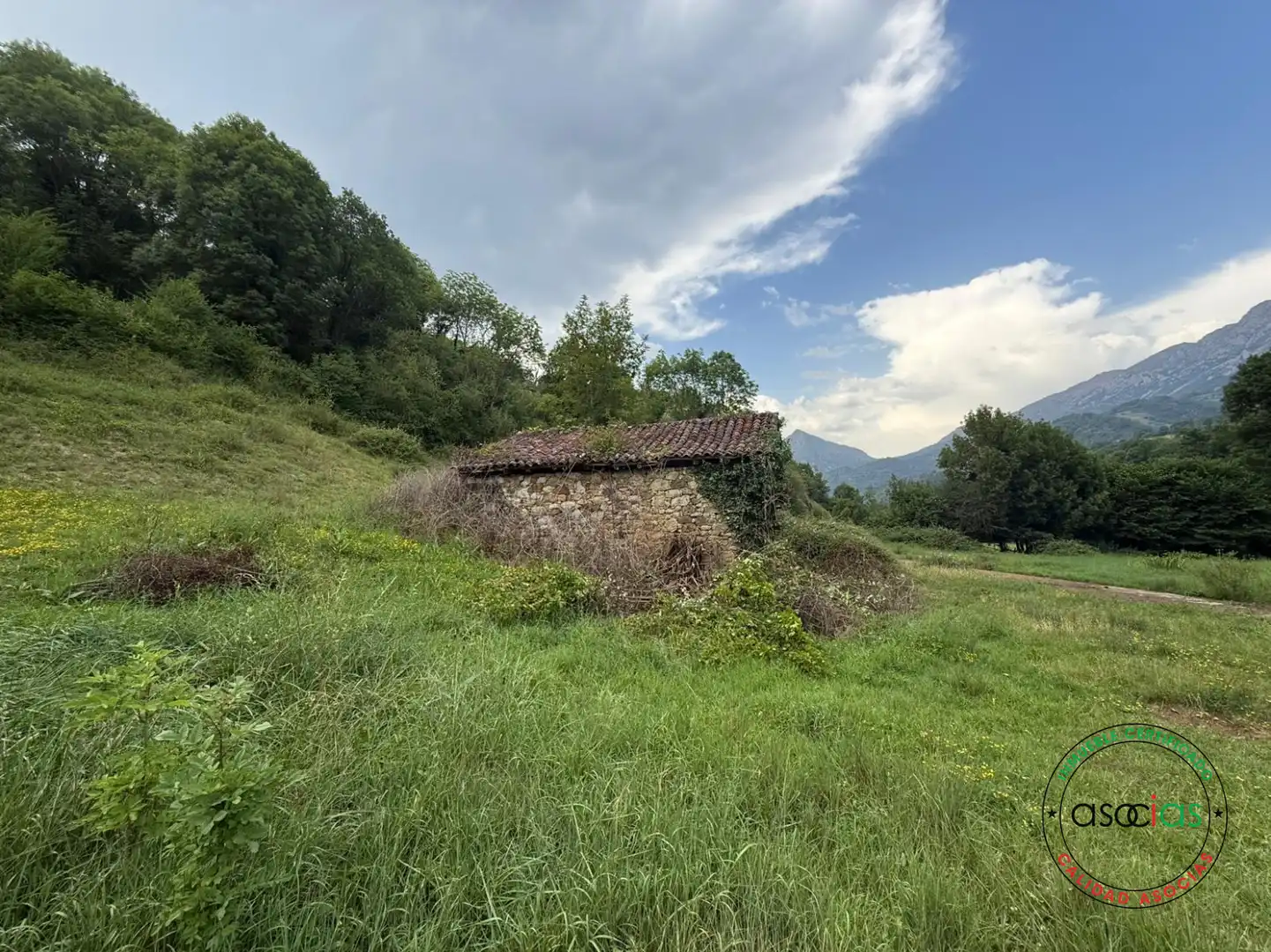 Land for sale in Quirós
