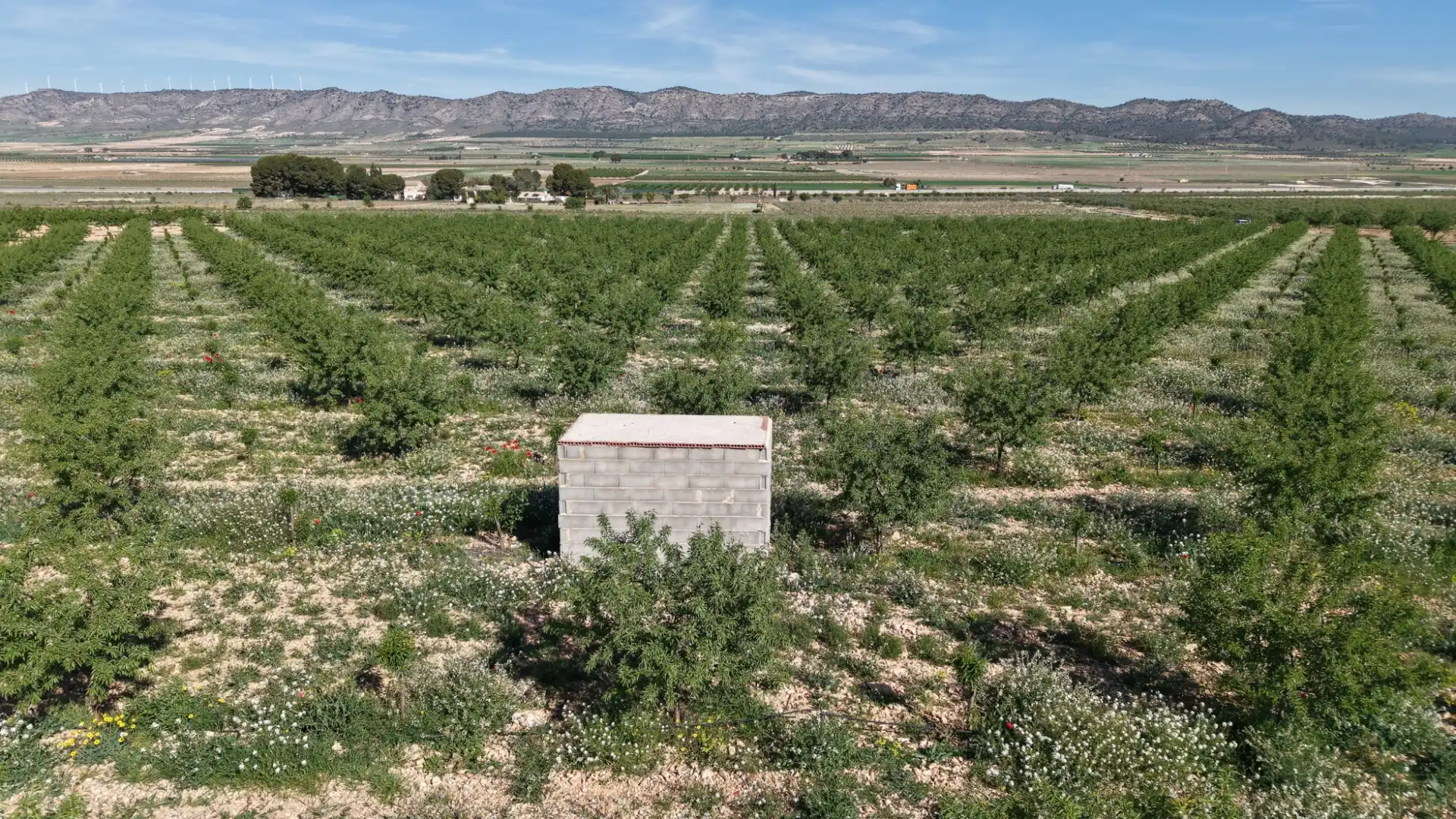 Residential land for sale in Yecla, imagen 6