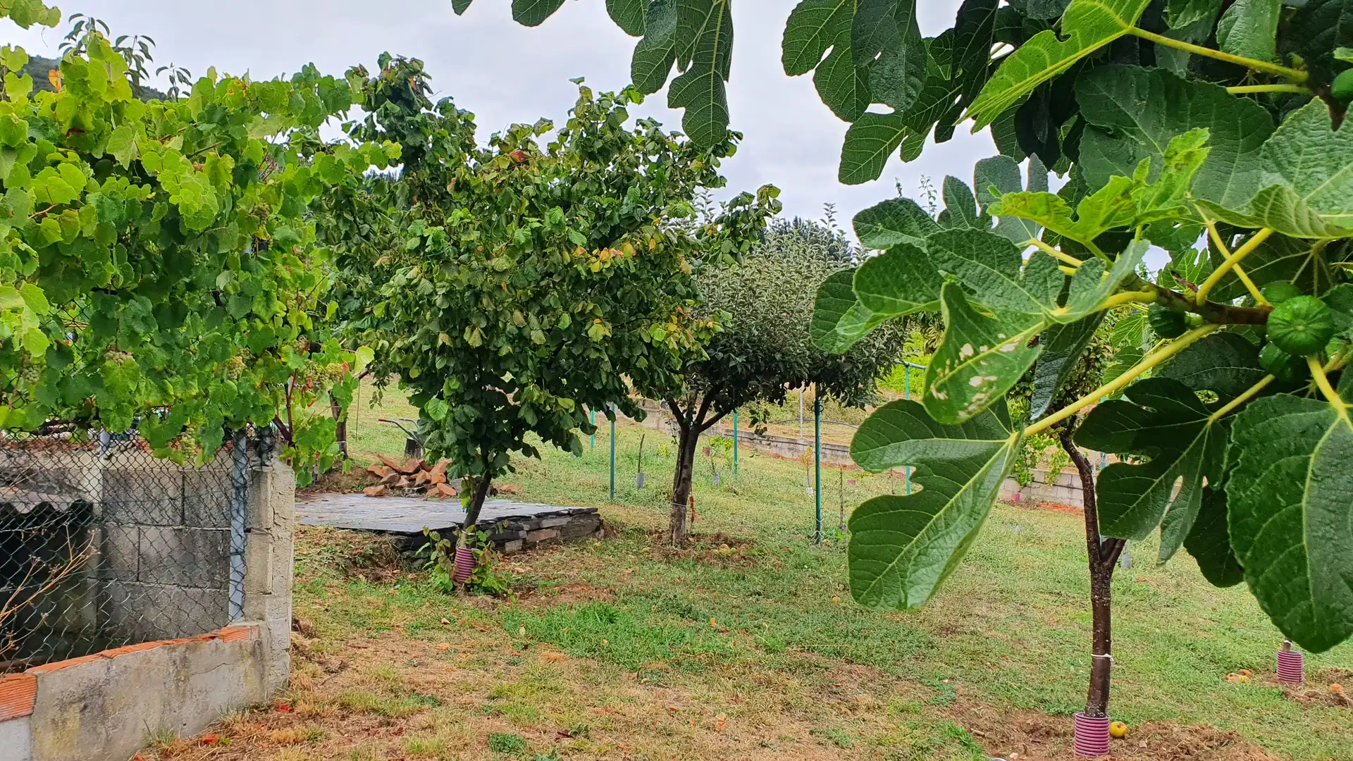 Casa o chalet en venta en Vega de Espinareda con Calefacción, Jardín privado y Terraza