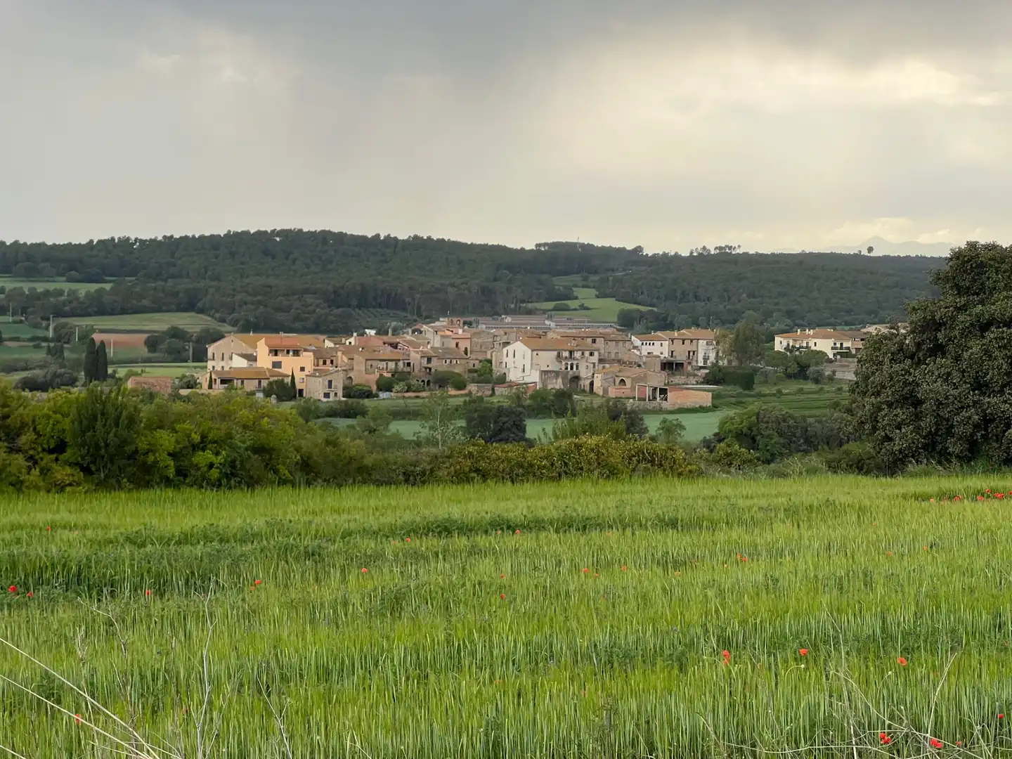 Vista exterior de Residencial en venta en Garrigoles