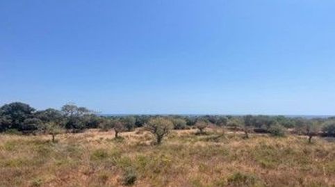 Photo 3 of Houses for sale in Disseminat S Espinagar, Manacor Centre, Manacor