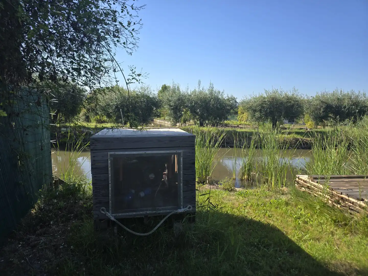 Terreny rústic en venda a Camí la Fileta 2, imagen 7