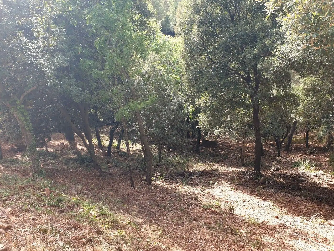Terrain résidentiel à vendre à Matadepera, imagen 2