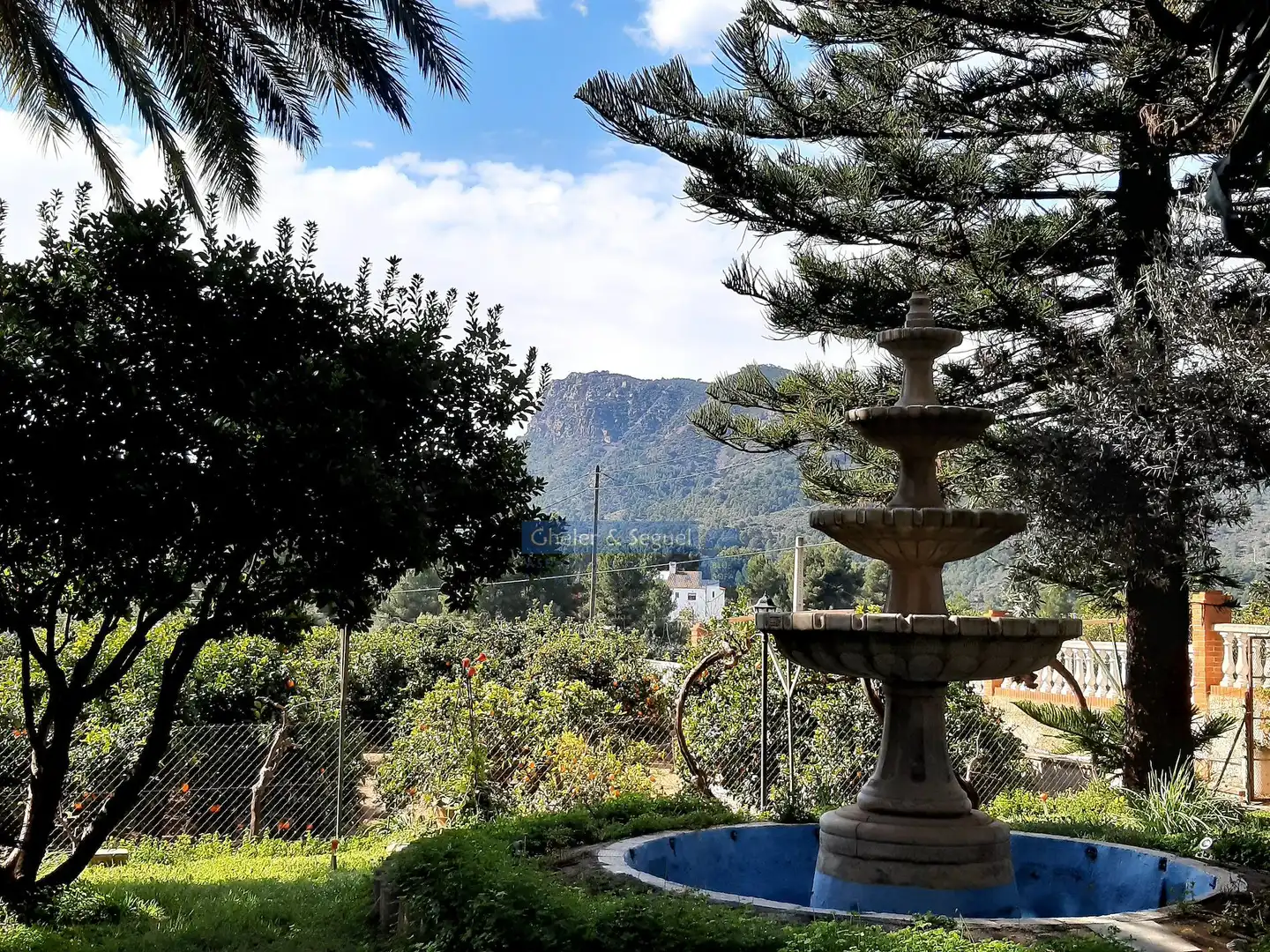 Jardín de Casa o chalet en venta en Albalat dels Tarongers con Terraza