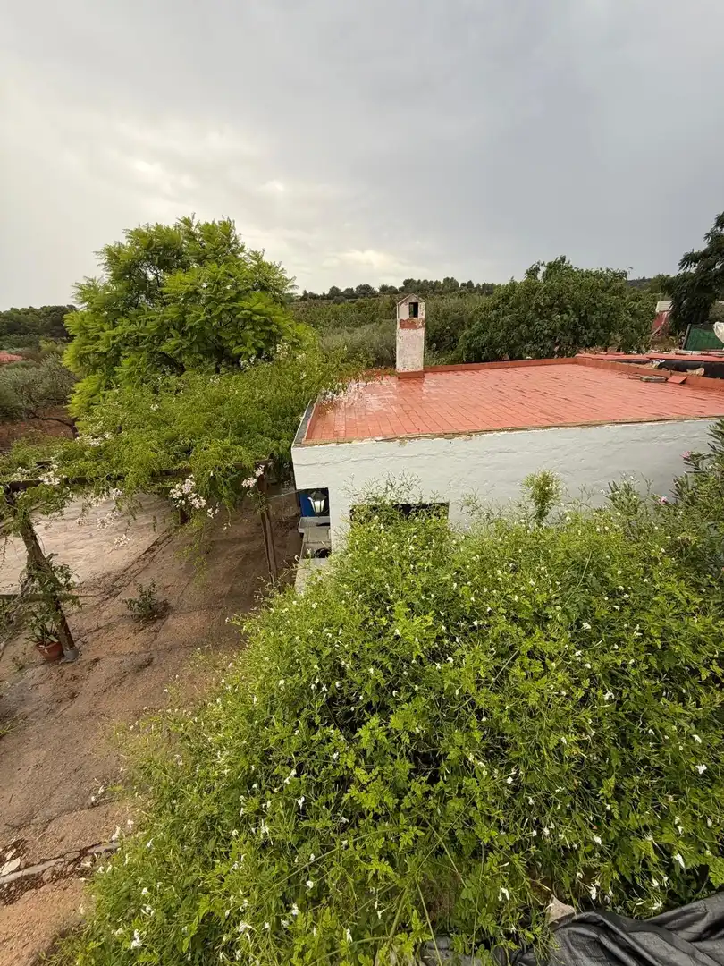 Maison rustique à vendre à Calle Calle Neptuno, imagen 63