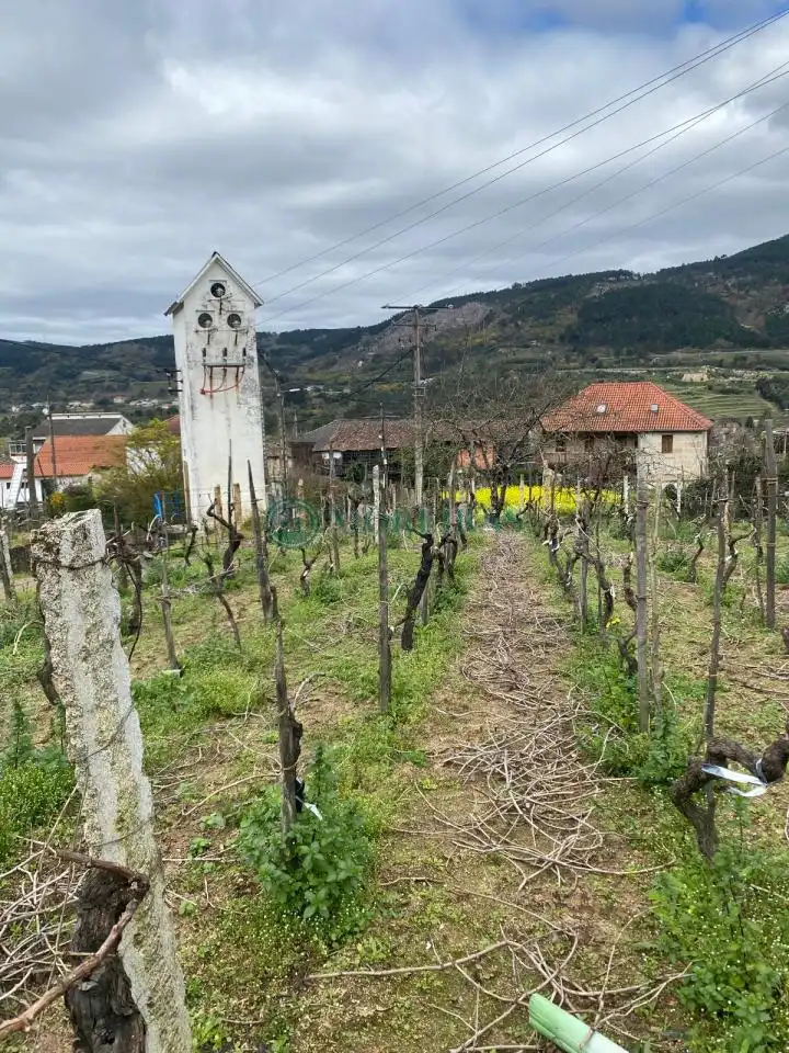 Casa con giardino in vendita a Castrelo de Miño, imagen 5