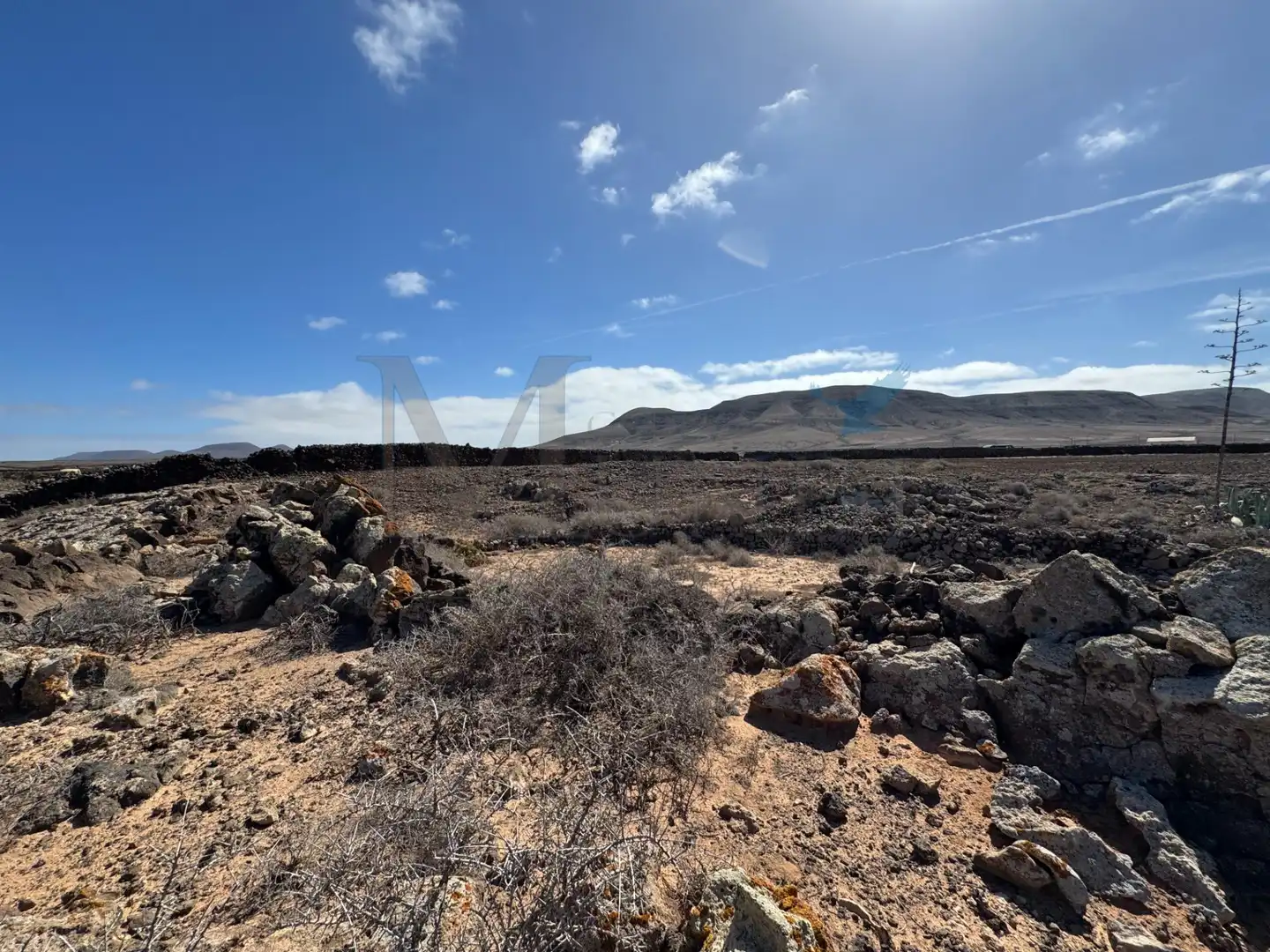 Land for sale in La Oliva