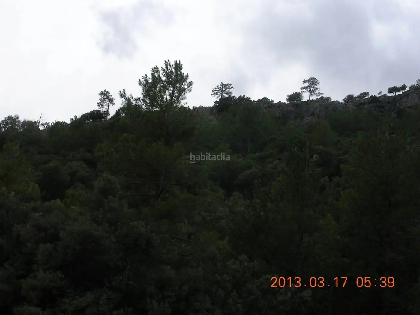 Terreni e lotti in vendita a Huéscar, imagen 11