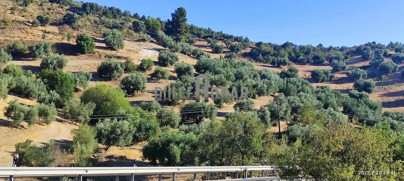 Finca rústica en venda en Antequera