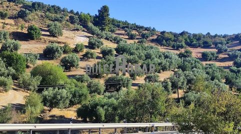 Foto 3 de Finca rústica en venda a Zona de la Vega, Antequera