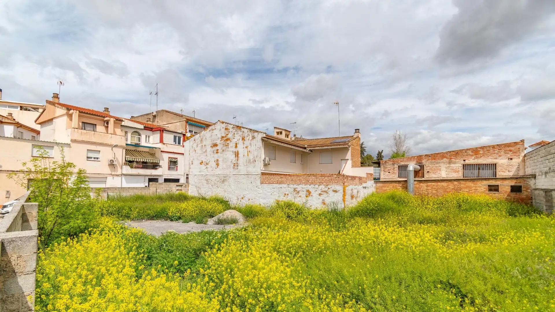 Exterior view of Industrial land for sale in Albolote