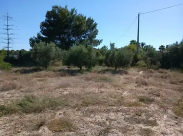 Houses for sale in Elche / Elx  with Terrace and Storage room