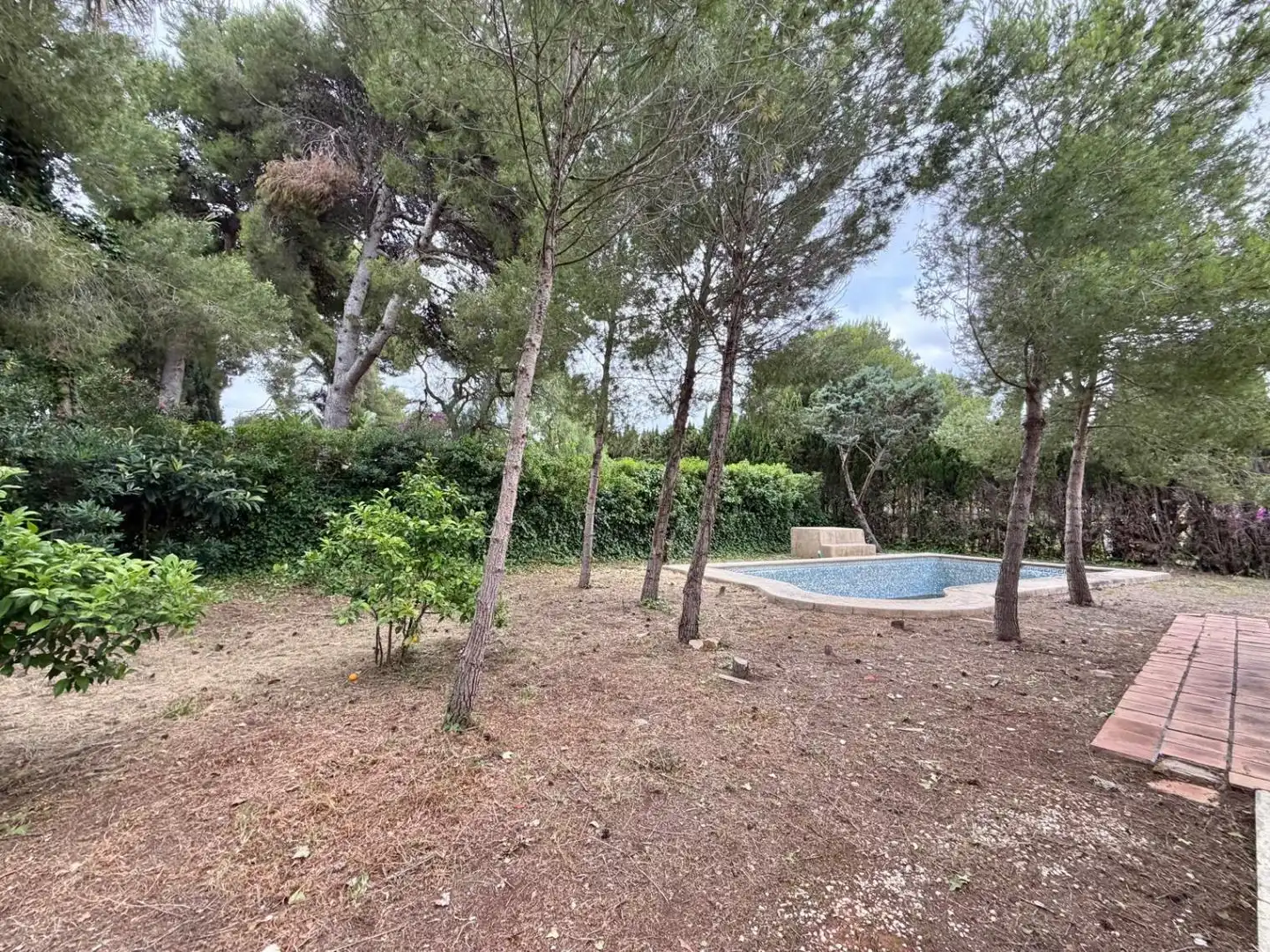 Jardí de Casa o xalet en venda en Jávea / Xàbia amb Jardí privat i Piscina
