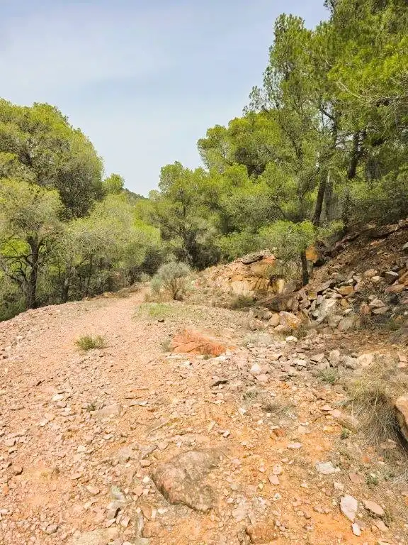 Wohnbaugrundstück zum Verkauf in Carrer Canteres 18, imagen 8