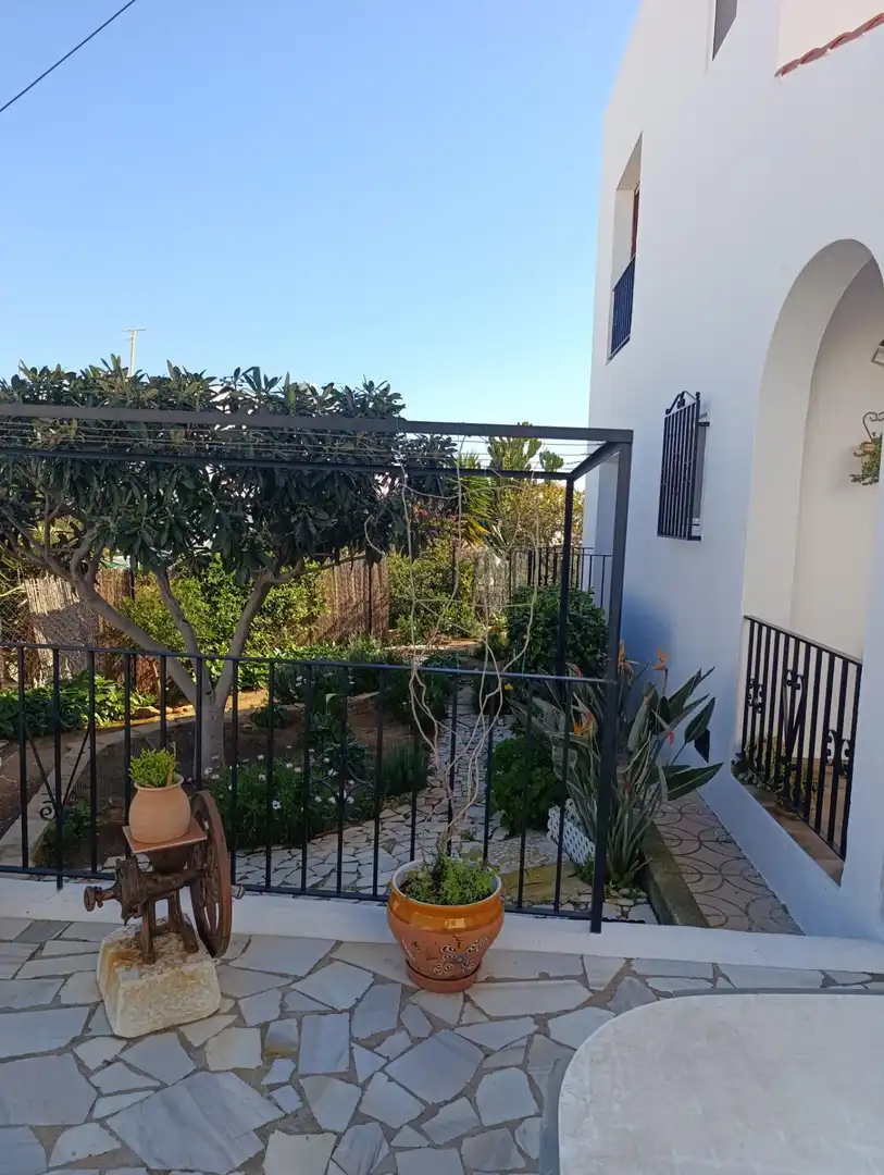 Detached house with terrace for sale in El Palmeral, imagen 45