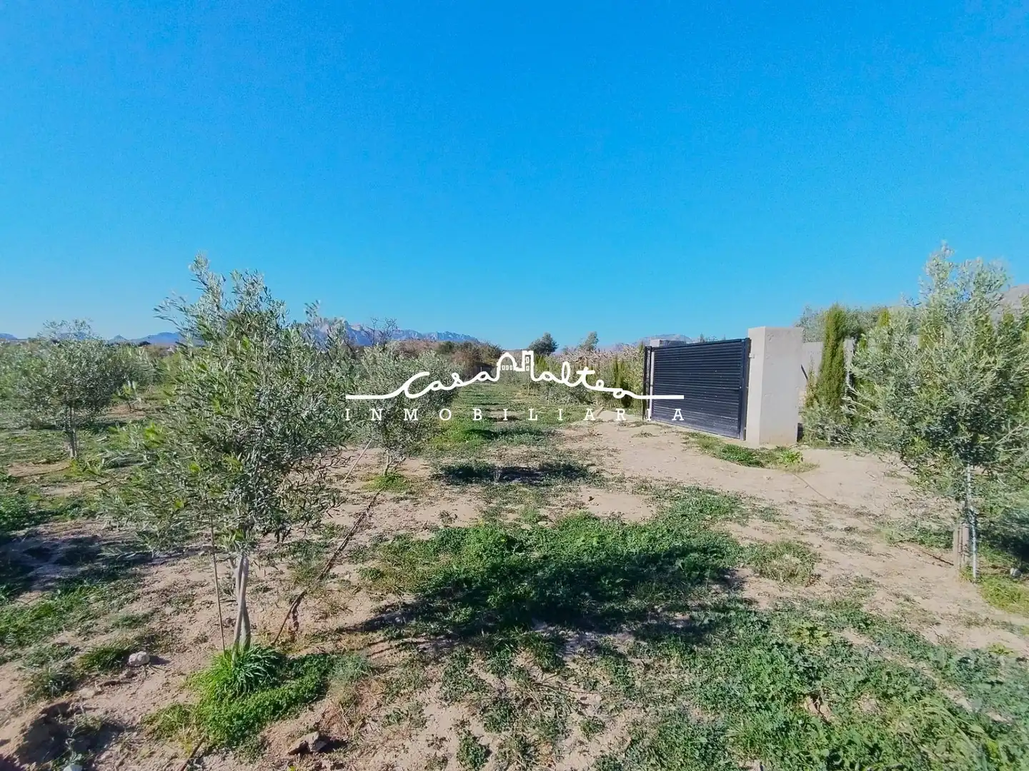 Rural land for sale in L'Olla, imagen 16