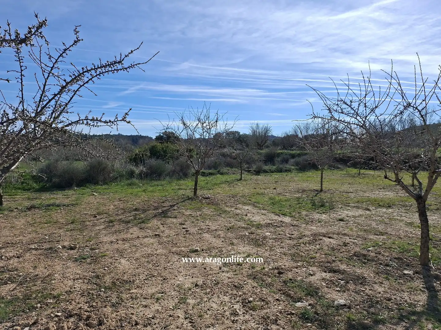 Land for sale in Fabara